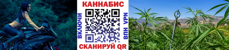 Бошки марихуана сатива  Купить закладки  Усолье-Сибирское 